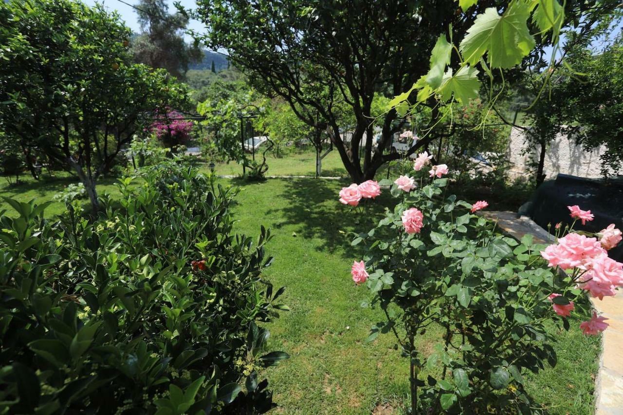 Garden House Kastellani Pensionat Kastellanoi  Exteriör bild